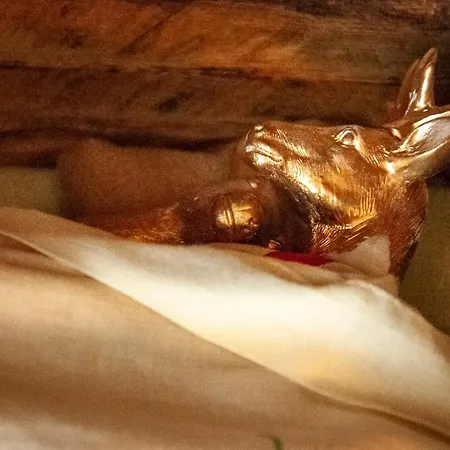 Bed & Breakfast Le Cerf Coiffe *
