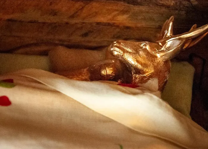 Panzió Le Cerf Coiffe 3*