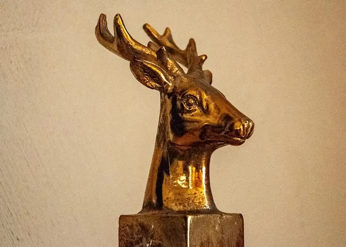 Panzió Le Cerf Coiffe